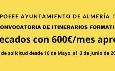 IX CONVOCATORIA «ALMERÍA T-INTEGRA CON EMPLEO»
